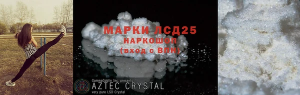 ешки Аркадак