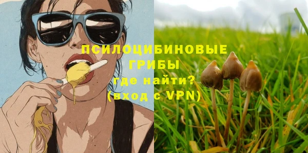 ешки Аркадак