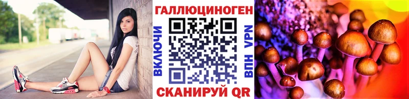 где можно купить   кракен   Галлюциногенные грибы Magic Shrooms  Искитим 