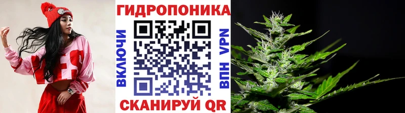 Бошки Шишки сатива  Искитим 